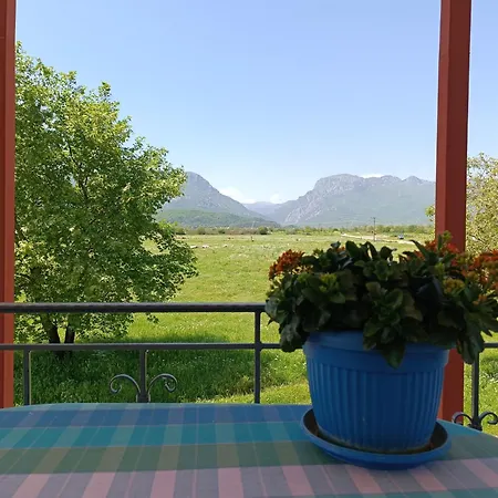 Billy's House Gomfoi Apartament